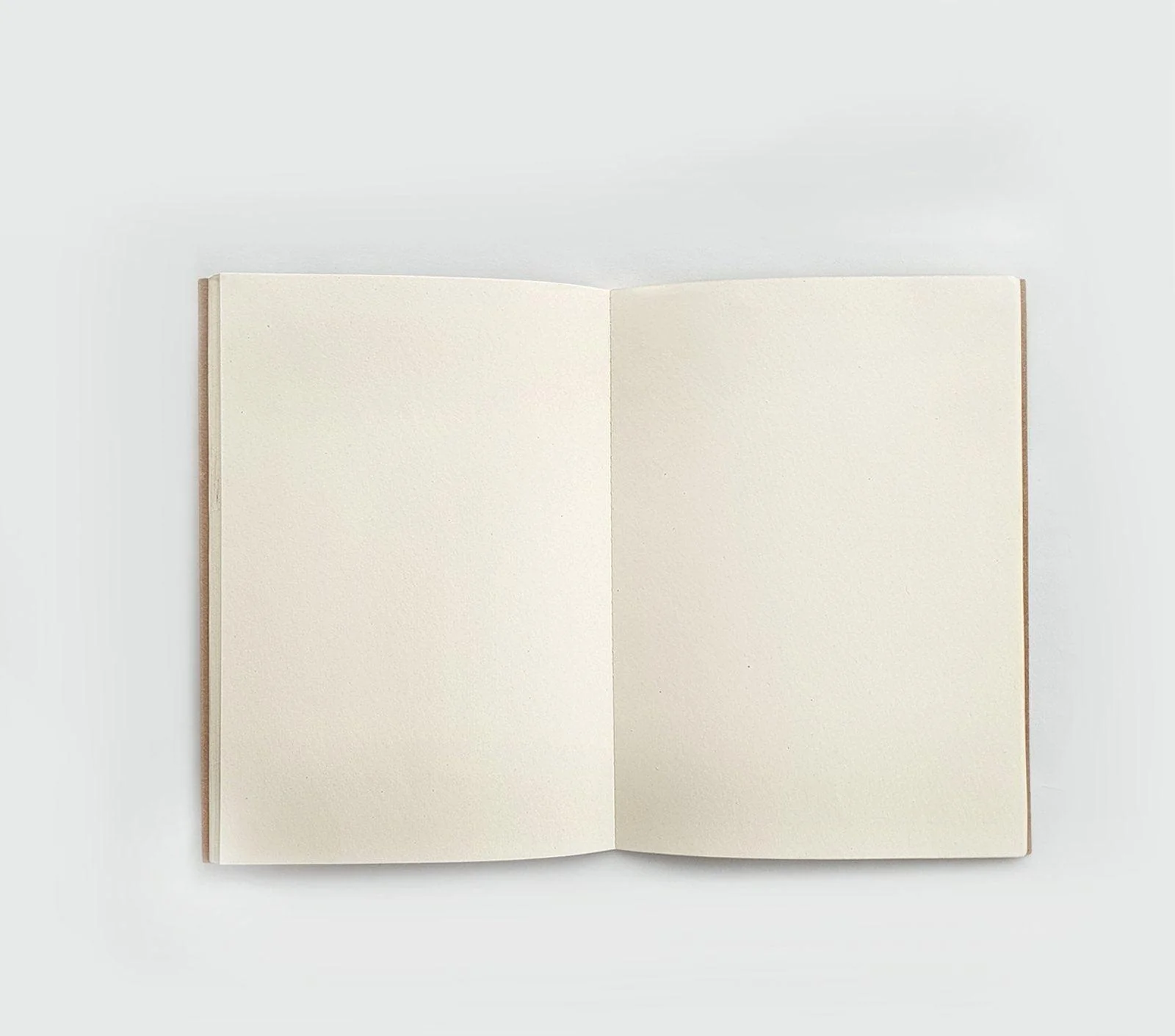 BASIC INSERT S/2 - Image 3
