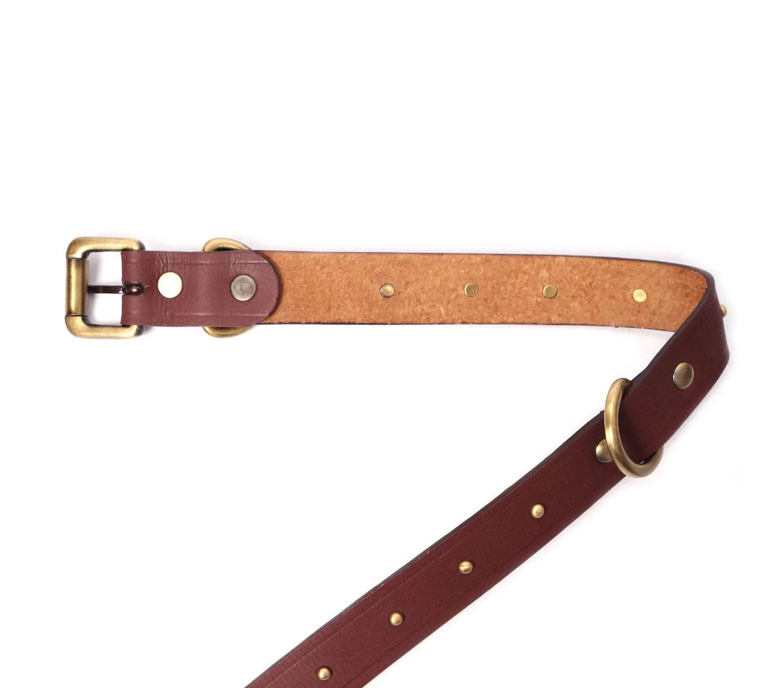 BIG DOG COLLAR RD. STUD - Image 7