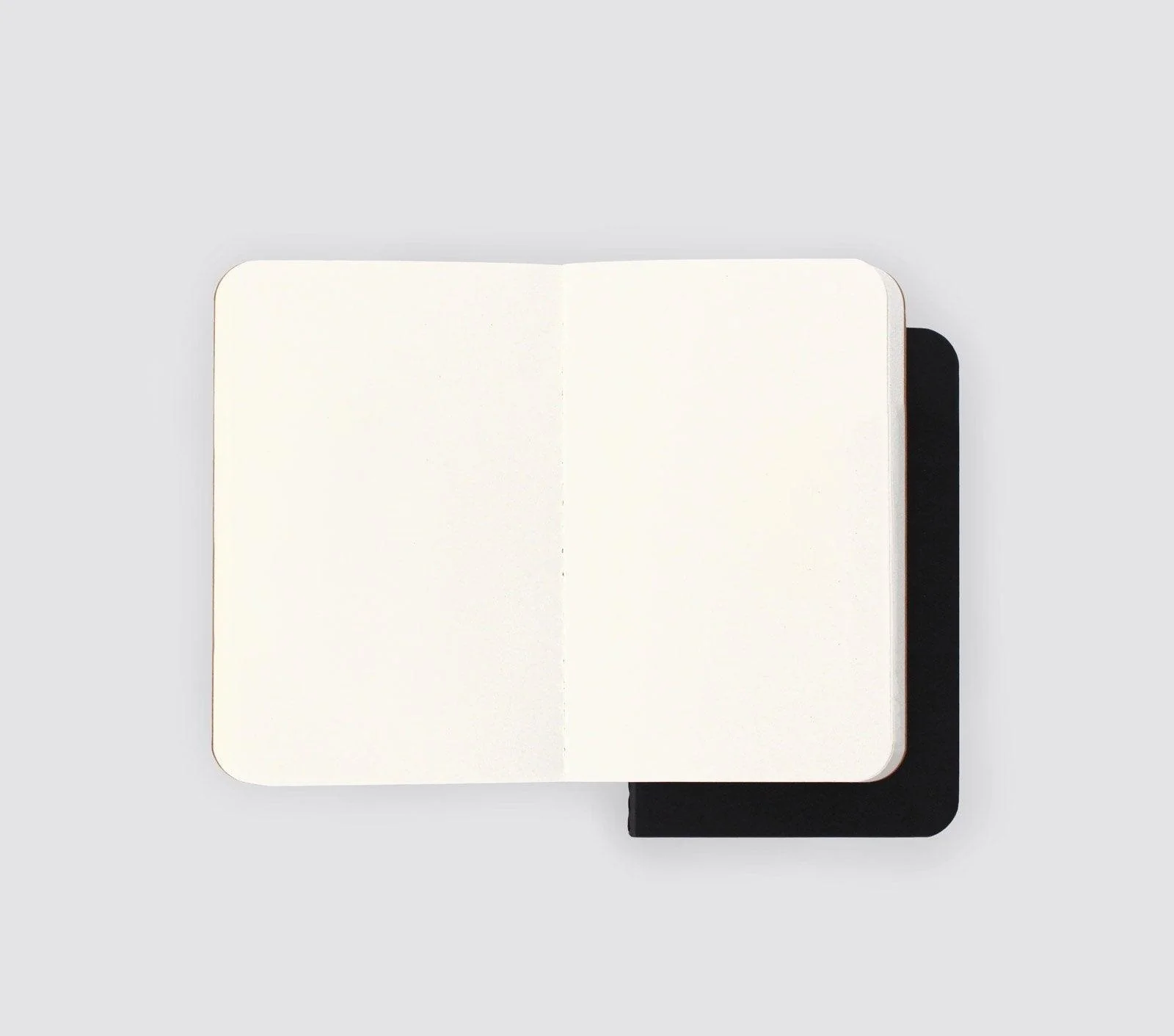 DIMINUTIVE DIARY SET OF 2 - BLANK - Image 4