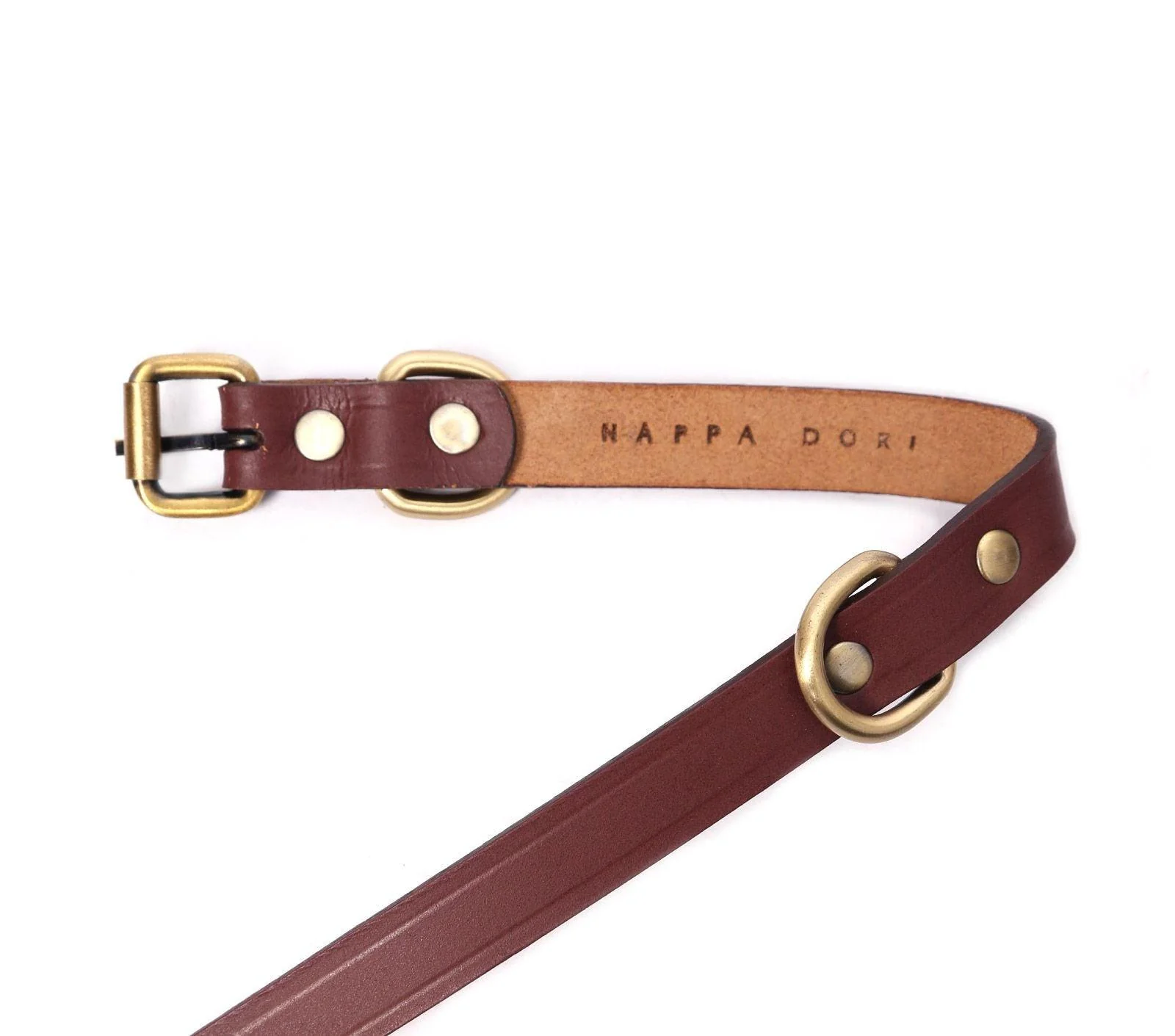 SMALL DOG COLLAR CLASSIC - Image 2
